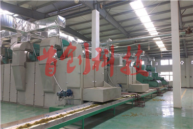 1505531630317187.jpg 浙江金銀花烘干2.jpg