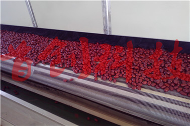 1512434807365124.jpg 紅棗2.jpg