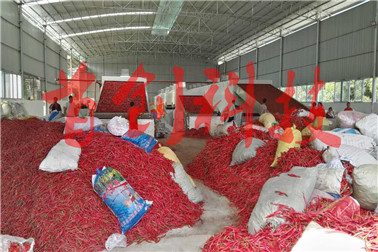 1518059687599573.jpg 微信圖片_20171122114010.jpg