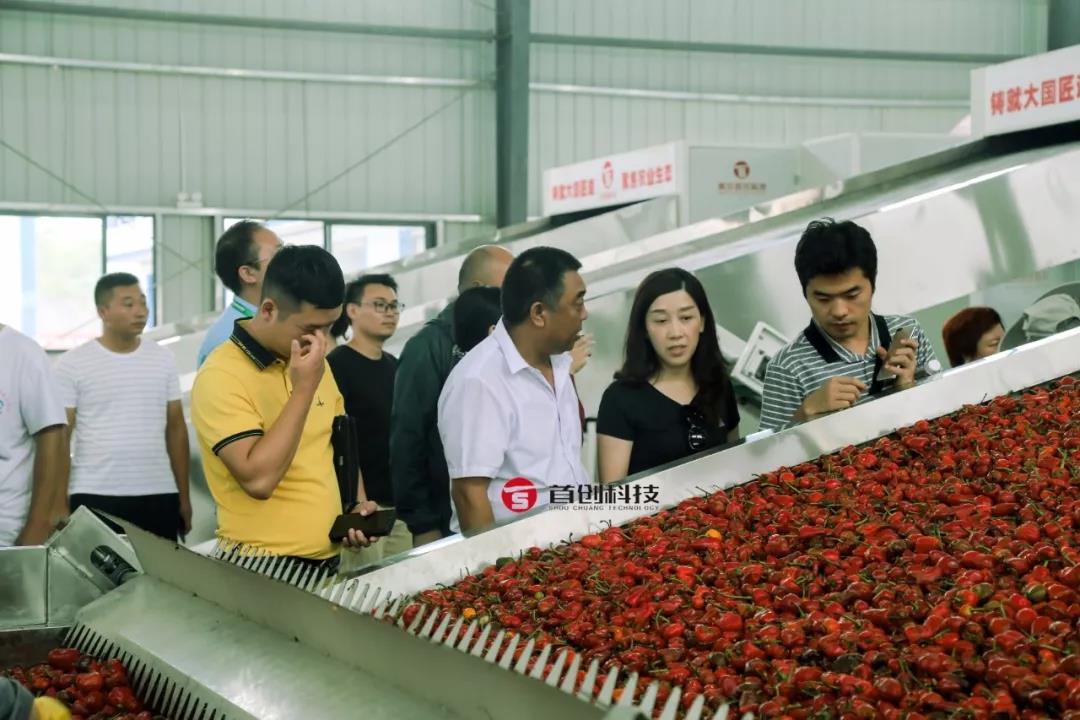 1566625051772884.jpg 微信圖片_20190824133440.jpg