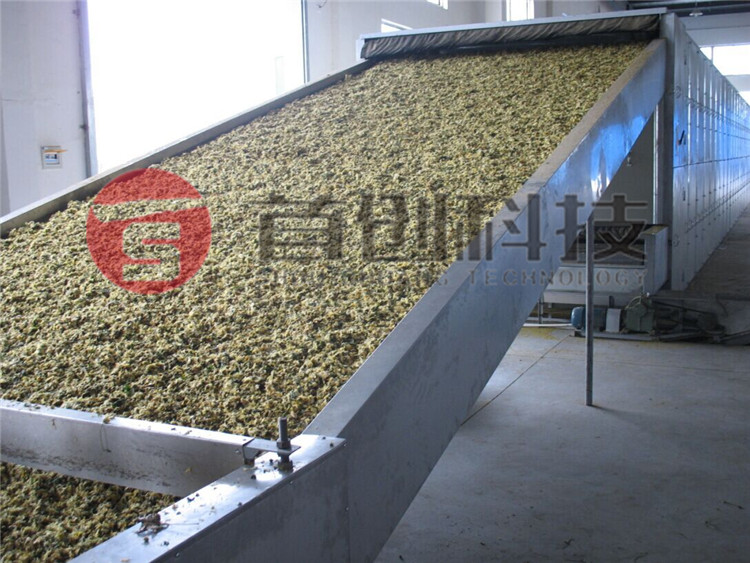 網(wǎng)帶式菊花烘干機(jī).jpg 網(wǎng)帶式菊花烘干機(jī).jpg