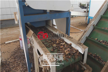 1675495782883149.jpg 籽殼剝離.jpg