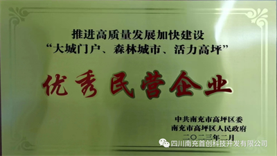 1678498739921476.png 優(yōu)秀民營.png