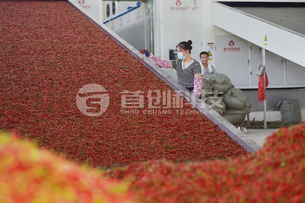 大型專業(yè)辣椒烘干設備.jpg