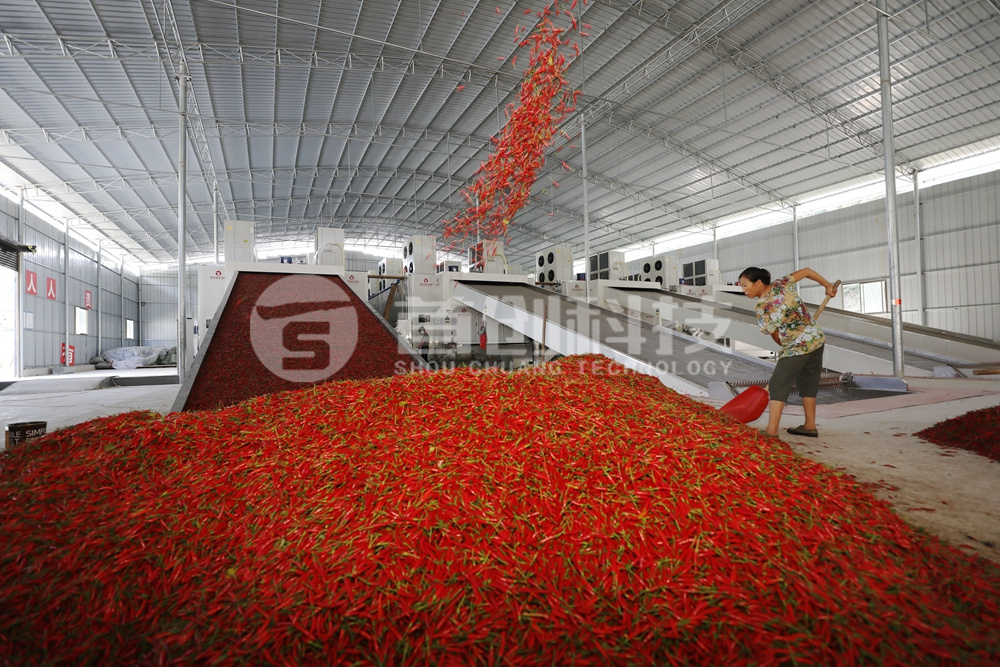 一臺網(wǎng)帶式辣椒烘干設(shè)備多少錢？.jpg