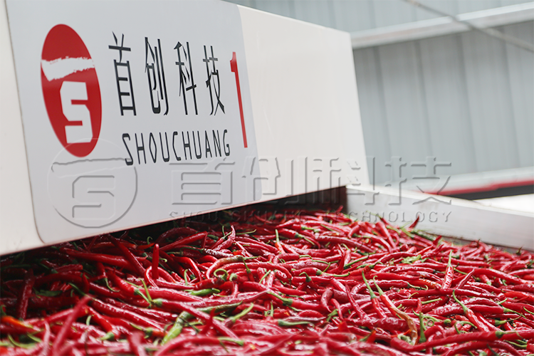 大型網(wǎng)帶式辣椒干燥設(shè)備.png 大型網(wǎng)帶式辣椒干燥設(shè)備.png