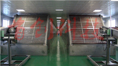 紅棗烘干設(shè)備 紅棗烘干設(shè)備