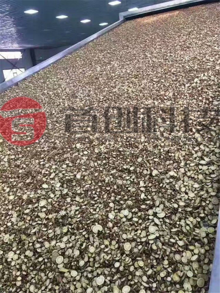 網(wǎng)帶式桔梗干燥設備.jpg