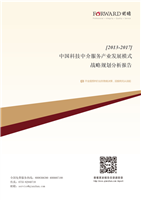 科技中介服務(wù)產(chǎn)業(yè)發(fā)展模式與戰(zhàn)略規(guī)劃分析報(bào)告