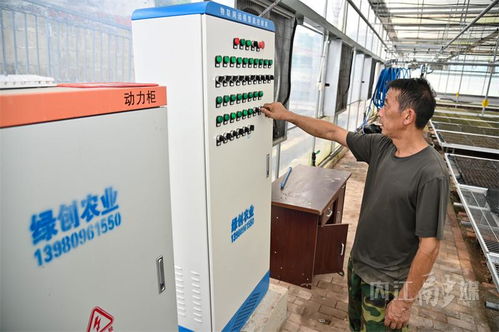 內江育苗工廠 科技賦能農業，空調房里種出“營養餐”